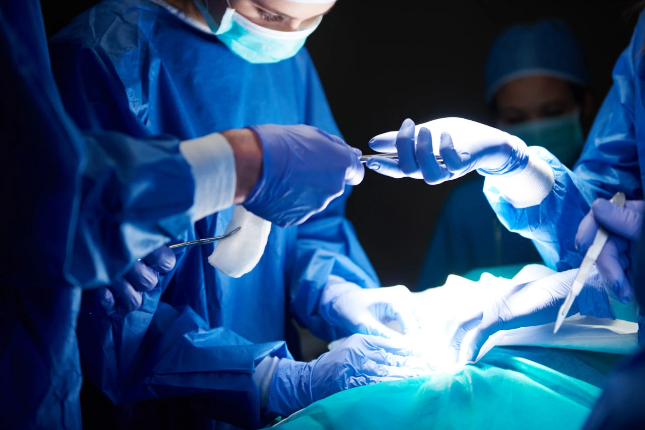 تتو هاله سینه